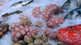 美味しそう♡北海道の食べ物CM